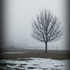 crazy fog