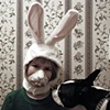 hey bunny bunny