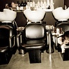 pooter joe ~ groom salon