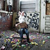 peeps & crowbars