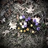 "life, death, & rebirth are inevitable." ~ rig veda
