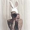 photog-bunny