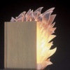 Burning Bookshelf (Vertical)