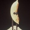 Golden Banana