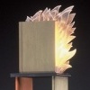 Burning Bookshelf (Vertical)