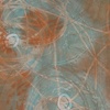 Birds Nest A