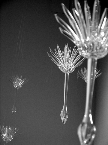 lampworked glass, david willis