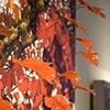 full fathom five detail (detail)