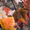 get closer (detail)
