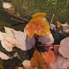 get closer (detail)