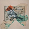 The Parts of a Bird