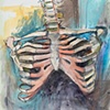 Ribs
