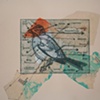 The Parts of a Bird