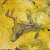 Tony's Deer