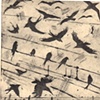 Musical Birds