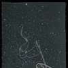 Twilight