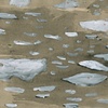 Ice Flow