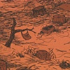 Clear Cut Detail