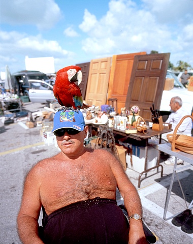 At the Swap Shop, Birdman