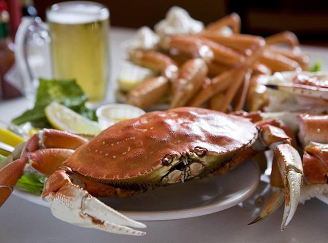 Half Shell, 2009
