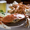 Half Shell, 2009