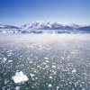 Disenchantment Bay, Alaska