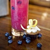 Venus Mixologist, Jennifer N. Contravenos