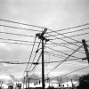 Collective Lines