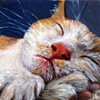 Sleep