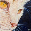 Ginger Cat