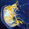 Jellyfish
