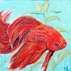 Siamese Fighting Fish