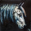 Bay Horse