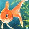 Goldfish #7
