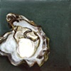 Oyster