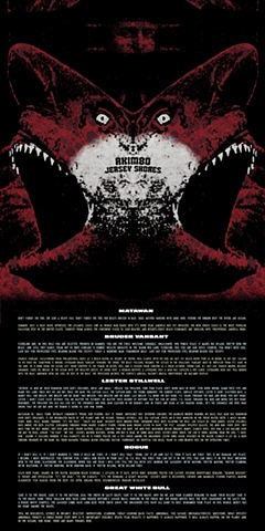 Akimbo, Jersey Shores, LP, vinyl,  Japan, Red Cobal Industries