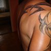 Tribal