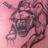 Panther