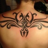 tribal