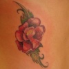 sister -sister flower