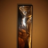 Half mind/copper2