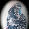 Falcon tattoo