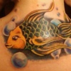 Fish cover up