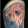 Dog Portrait tattoo