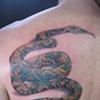 Snake tattoo cover up