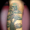 After tree cover up tattoo