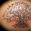 Tree tattoo
