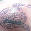 before snake cover up