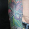 frog tattoo