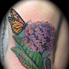 Butterfly back